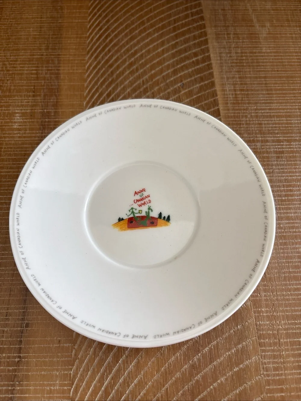 Anne Of Green Gables Canadian World Tea Cup And Saucer Japan
